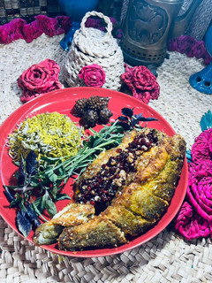 عکسی از دستور ماهی