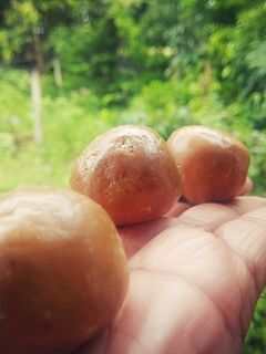 पौष्टिक गुळ शेंगदाणा लाडु (gul shengdana ladoo recipe in marathi) रेसिपी चे मुख्य फोटो
