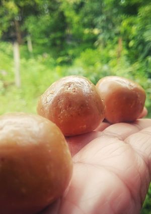 पौष्टिक गुळ शेंगदाणा लाडु (gul shengdana ladoo recipe in marathi) रेसिपी चे मुख्य फोटो 
