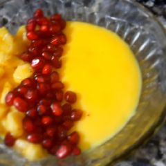 A picture of Pudding.