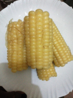 A picture of Boiled maize.