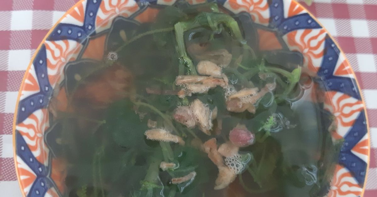 Sayur Bening Bayam china