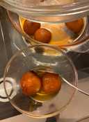 EASY GULAB JAMUN recipe