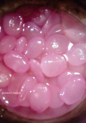 Foto resep Manisan Kolang Kaling