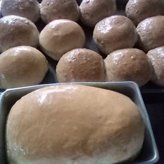 A picture of White Bread.