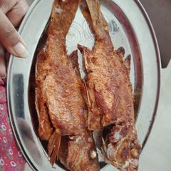 A picture of Red snapper fry / shankara fry.