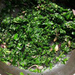A picture of All green kales and spinach.