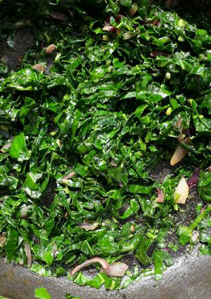 A picture of All green kales and spinach.