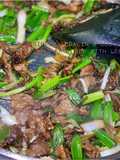 Stir Fry Beef with Leek