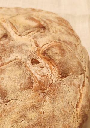 A picture of Pane pugliese.