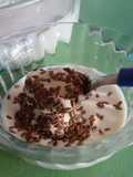 Yogurt griego casero