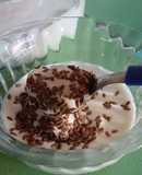 Yogurt griego casero