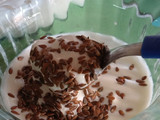Yogurt griego casero