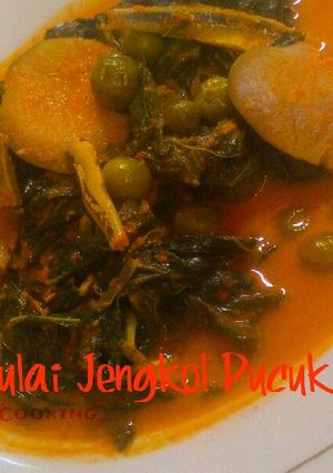 Foto resep Gulai Jengkol Pucuk Ubi