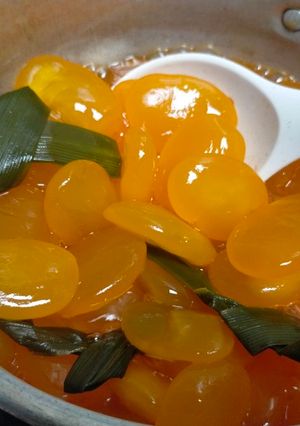 Foto resep Manisan kolang kaling nutrisari