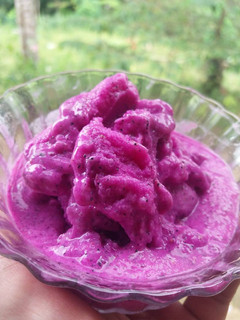 Foto resep Ice Cream Buah Naga