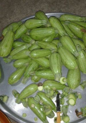 صورة لوصفة كوسا بلبن