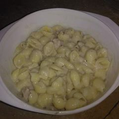 A picture of White Sauce pasta.