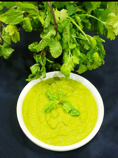 ફૂદીના ચટણી (fudina Chutney) રેસીપી મુખ્ય ફોટો