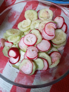 Una foto de Ensalada de pepinos y rábanos