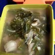 Sayur Asem ala ummu 'umar