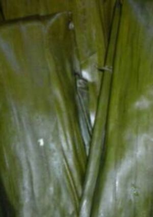 Foto resep Lemêt Pisang Raja