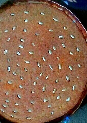 صورة لوصفة هريسه ولا اطيب