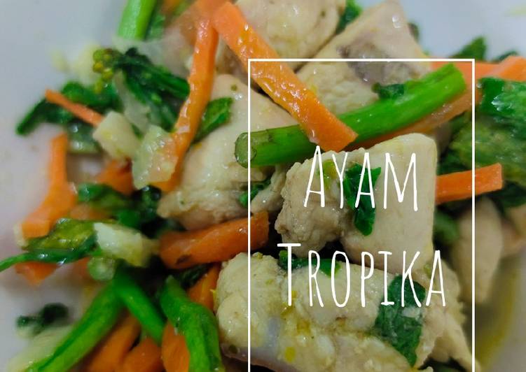 Ayam Tropika