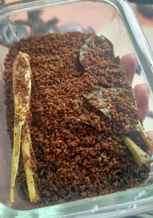 Foto resep Abon Hati Ayam