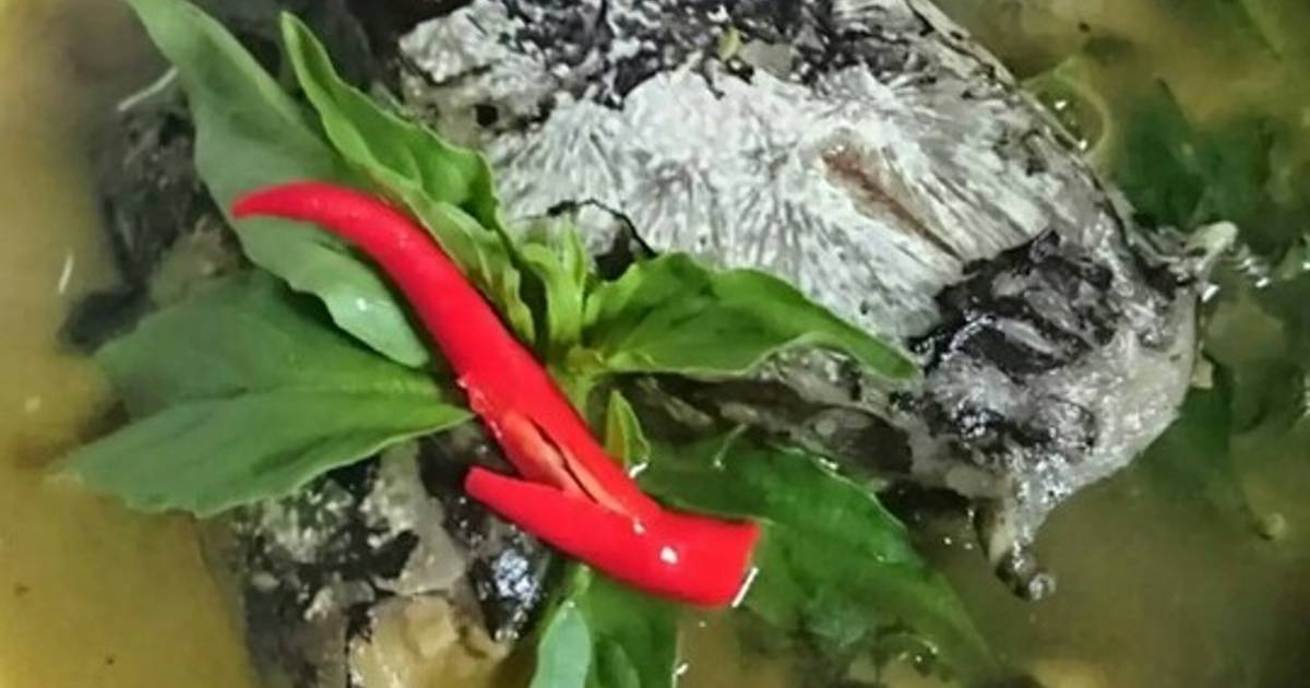 Resep Soup mercon lele oleh Tanti.agil - Cookpad