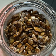 A picture of Pumpkin seeds | waste free snack.