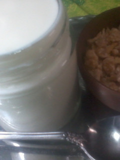 Una foto de Yogurt casero