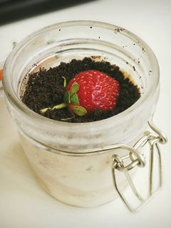 Foto resep Oreo Cheese Cake in Jar
