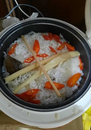 Foto resep Nasi liwet magic com