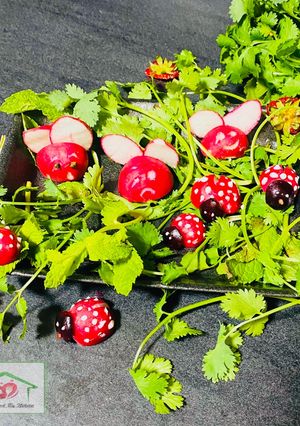 रेड रैडिश क्राफ्ट बग एंड बनी (Red radish craft bug and bunny recipe in Hindi) रेसिपी मुख्य फोटो
