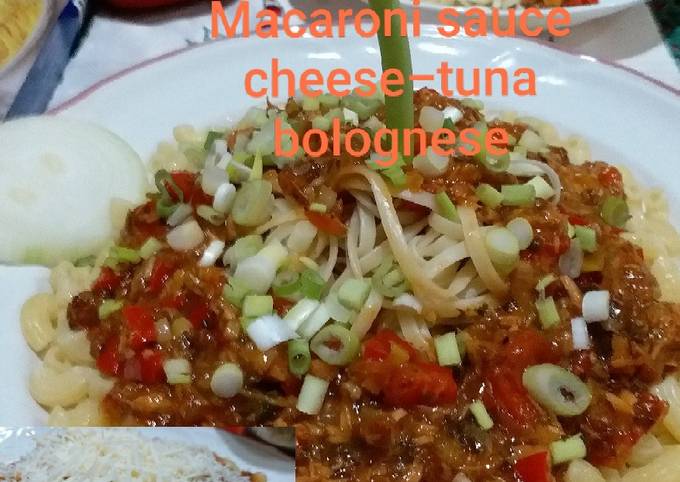 Fettuccine/Macaroni Sauce Cheese-Tuna Bolognese