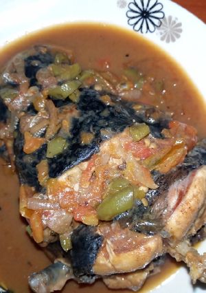 A picture of Lung Fish.
