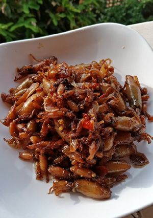 Foto resep Tumis cumi asin simple