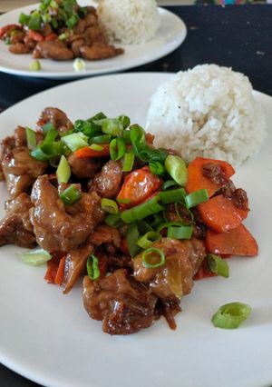 A picture of Teriyaki Chicken with Rice.