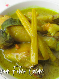 Foto resep Opor Ayam Fiber Creme