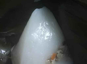Hình của món Bánh giò trứng cút.