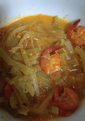 Foto resep Lodeh Labu Siam #139