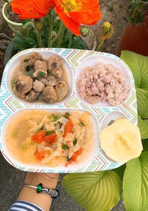 Hình của món Ăn dặm - Cơm cho béGà rang gừng - Canh bắp cải - cơm độn nếp cẩm.