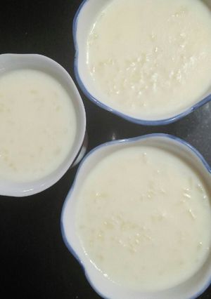 A picture of Rice Pudding.