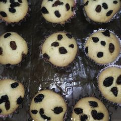 A picture of BLENDER cup cakes🥰.