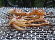 A picture of japanese squid