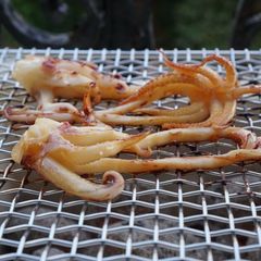 A picture of Grilled squid in Japanese taste.