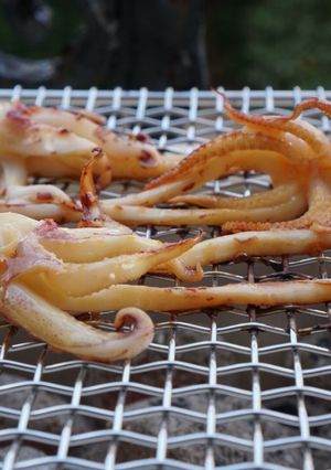 A picture of Grilled squid in Japanese taste.