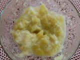 Puré de Manzana con Lechera