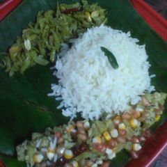 A picture of Karimatic bottle gourd.